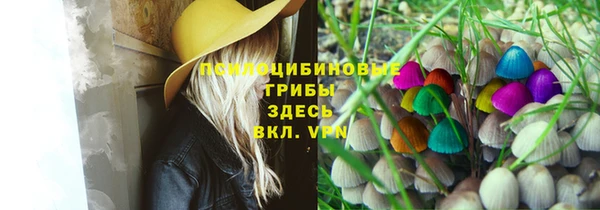крисы Алзамай