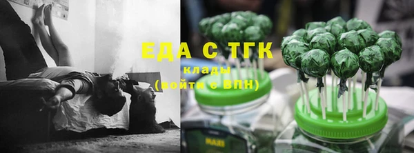 крисы Алзамай