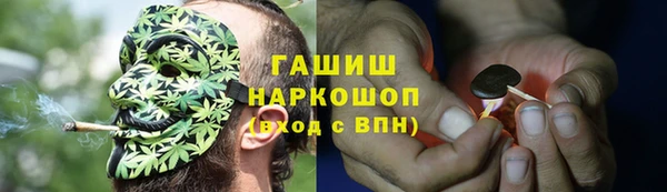 крисы Алзамай