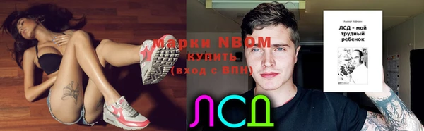дмт Алексин