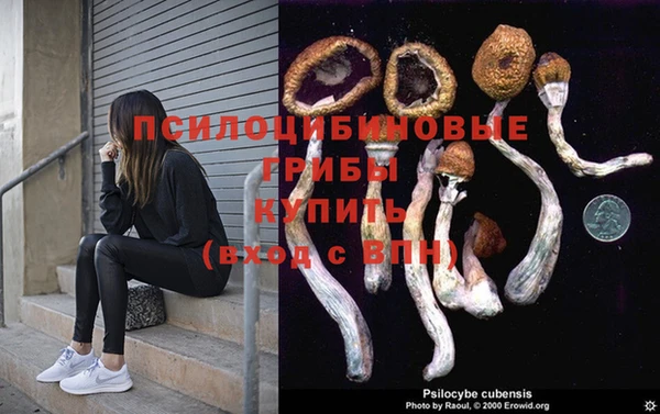 крисы Алзамай