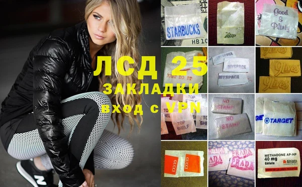 крисы Алзамай